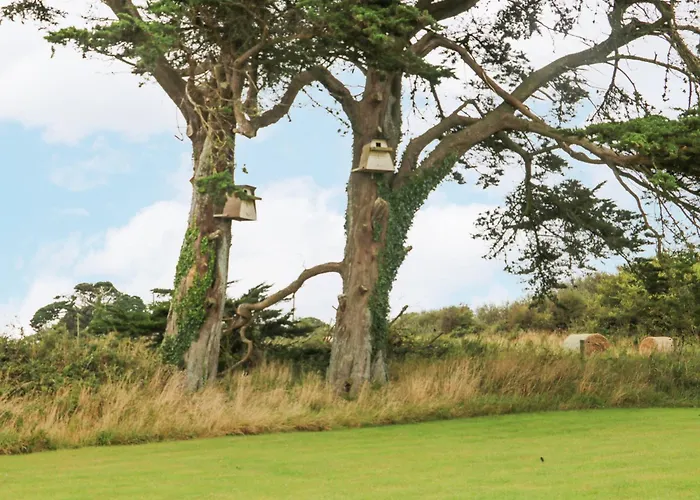 Swallow's Nest 펜션 Greenfield Cross Roads