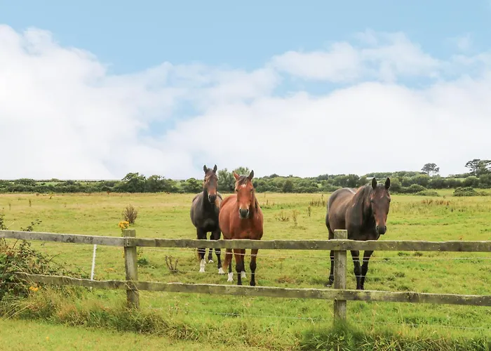 Swallow's Nest * Greenfield Cross Roads